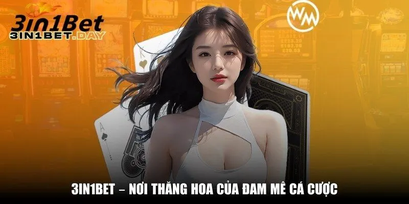 3in1bet noi thang hoa cua dam me ca cuoc 3in1bet – Nơi thăng hoa của đam mê cá cược
